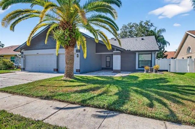 12025 Steppingstone Boulevard, TAMPA