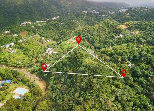 Bo. Mulas Carr. 174 Km. Hm 19.6 Int. Solar 1, AGUAS BUENAS