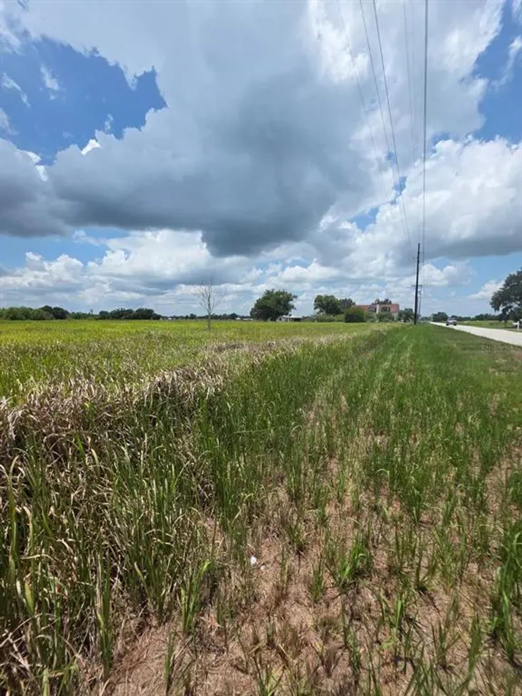 Metheny Rd, Parcel B, WAUCHULA