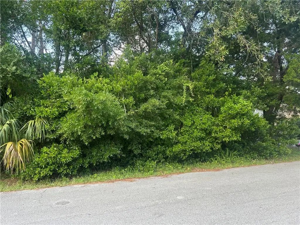 11 Jamaica Street, Homosassa