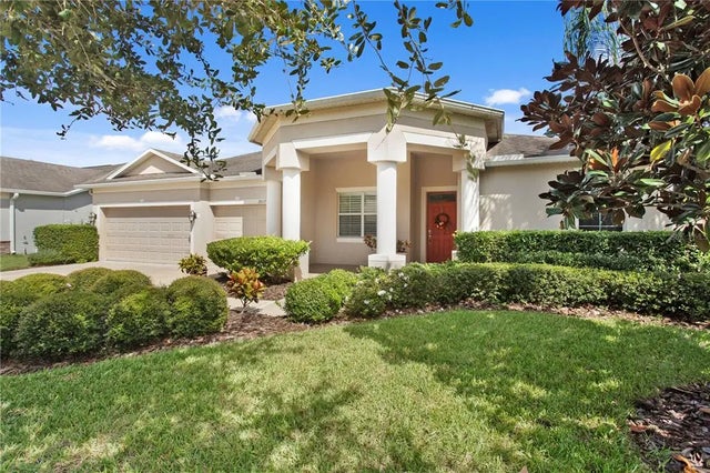 20117 Blue Daze Avenue, TAMPA