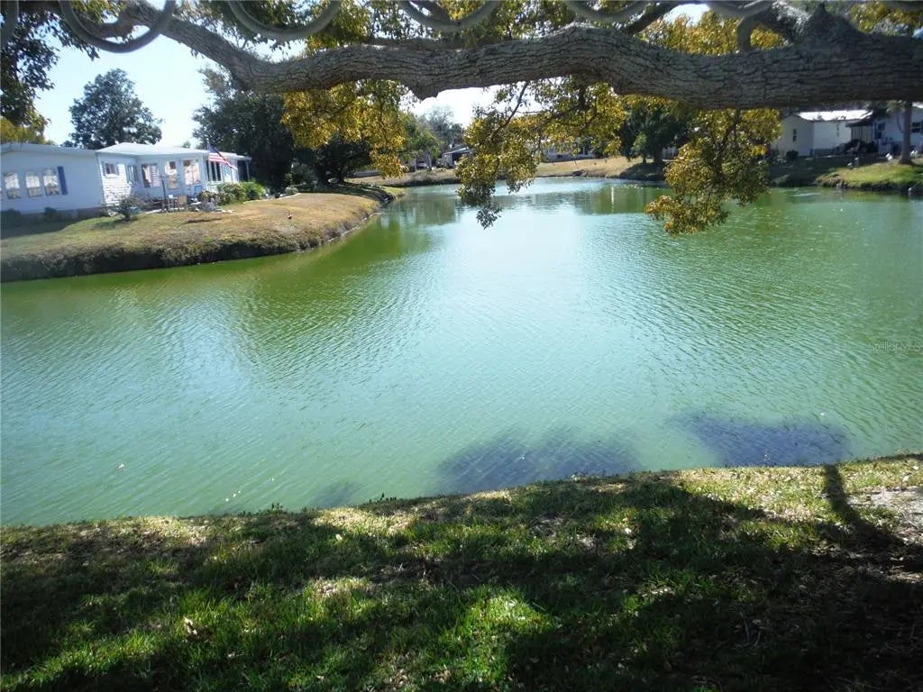 172 Clubview Drive 5, SAFETY HARBOR