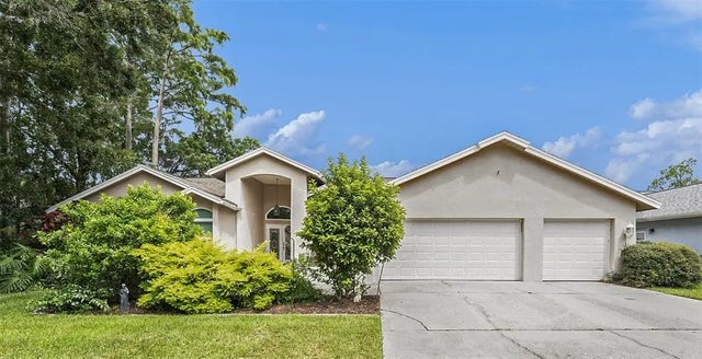 3125 Edgemoor Drive, PALM HARBOR