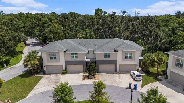 12823 Sanctuary Vista Trail, TAMPA