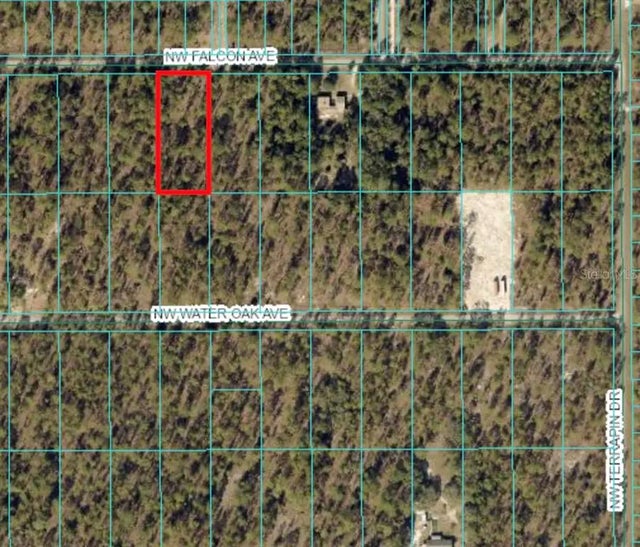 Tbd Nw Falcon Avenue, DUNNELLON