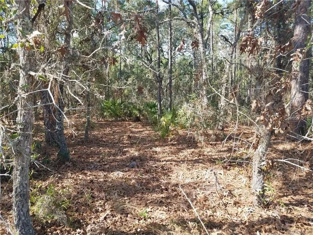 4 E Elder Court, HOMOSASSA