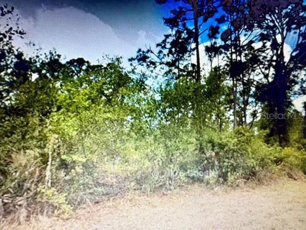 13153 Selzer Avenue, PORT CHARLOTTE