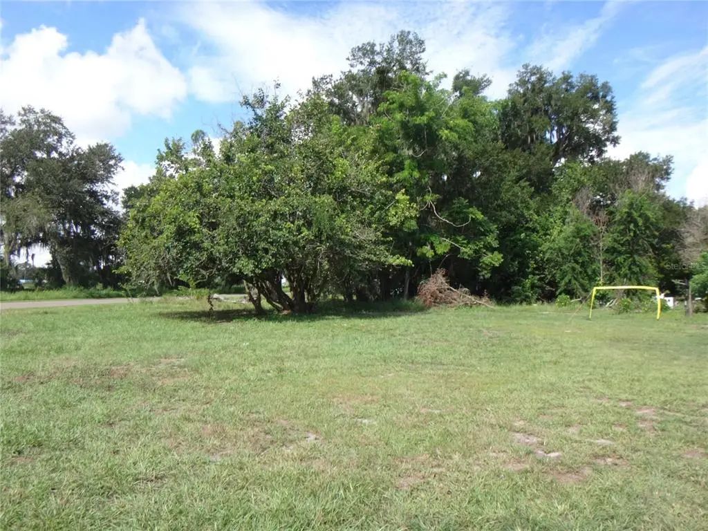 Seminole Avenue S, FORT MEADE