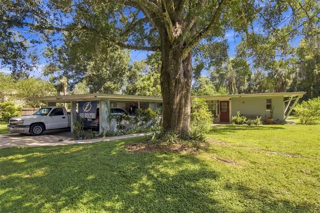 10803 N Oregon Circle, TAMPA