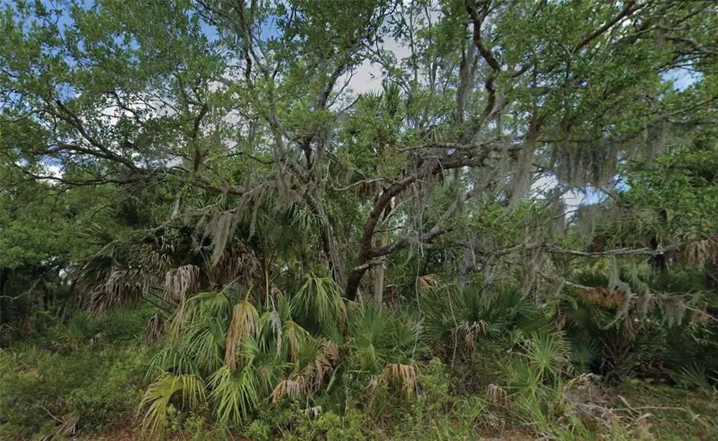14202 Brisk Avenue, PORT CHARLOTTE