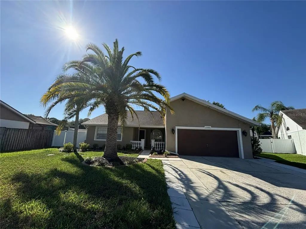 12005 Misty Brook Court, TAMPA