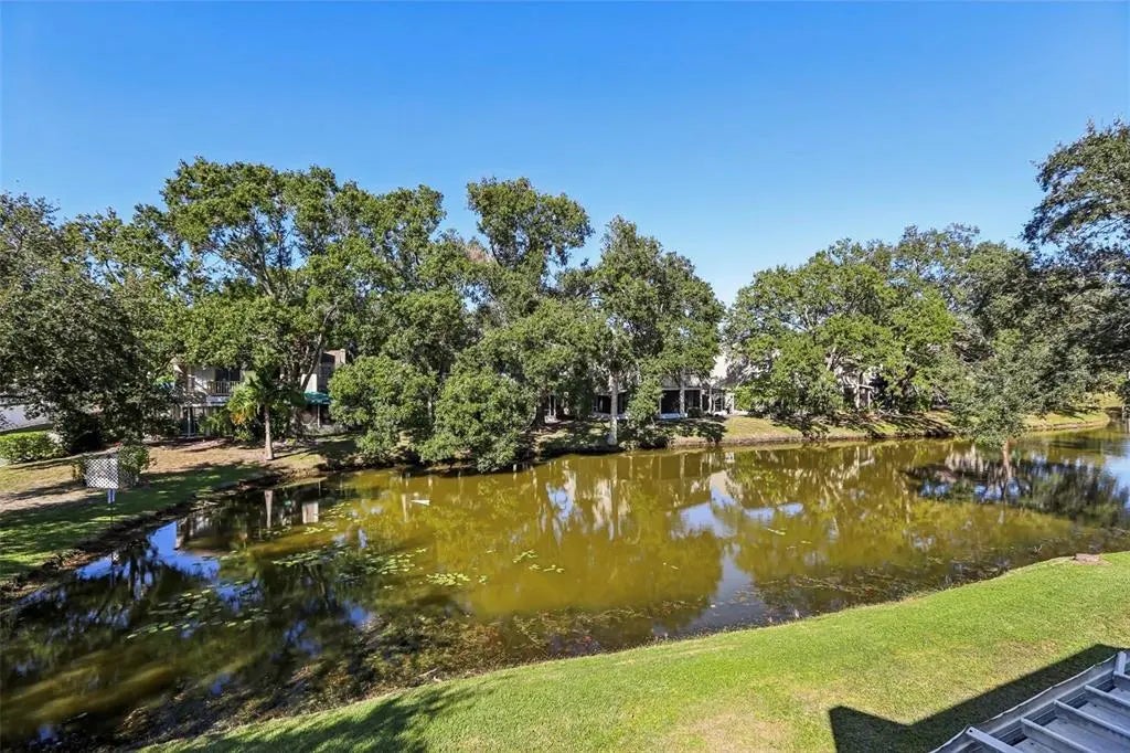 6935 Lake Place Court 6935, TAMPA