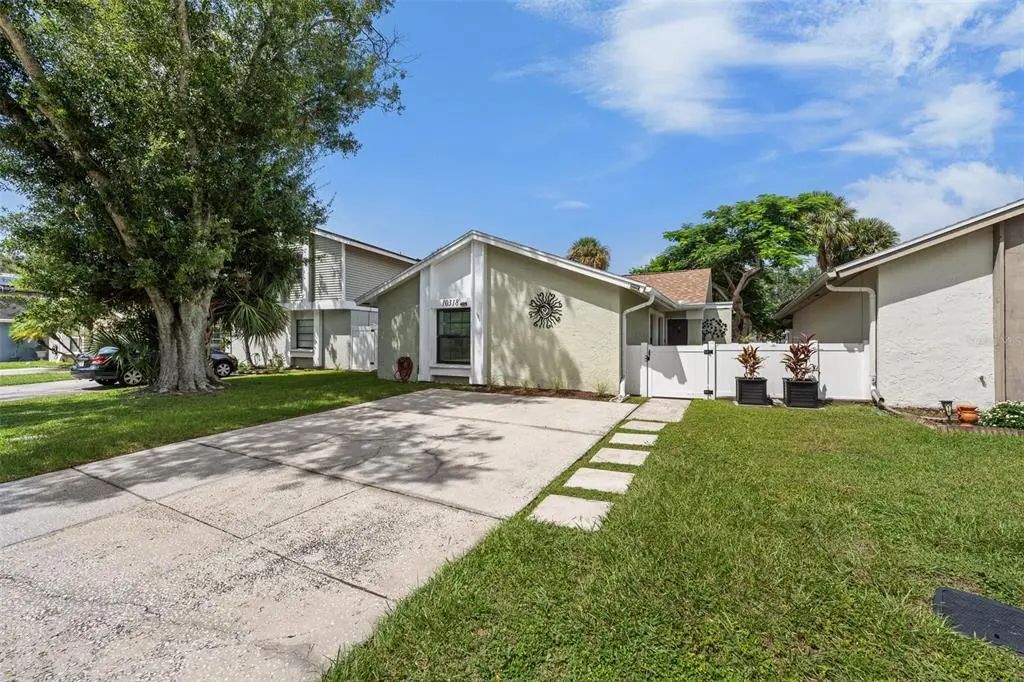 10318 Rosemount Drive, TAMPA