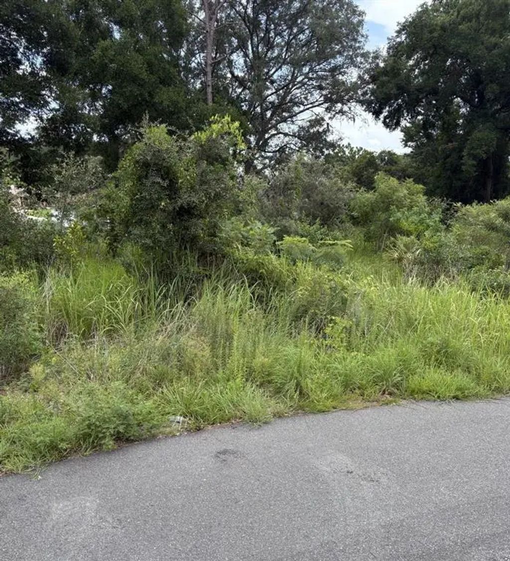 Oak Pass Run Lot 10, OCALA