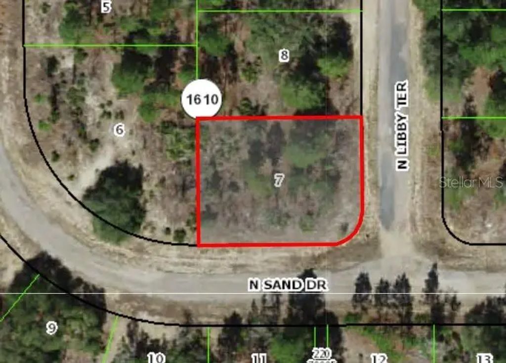 6626 N Libby Terrace, Dunnellon