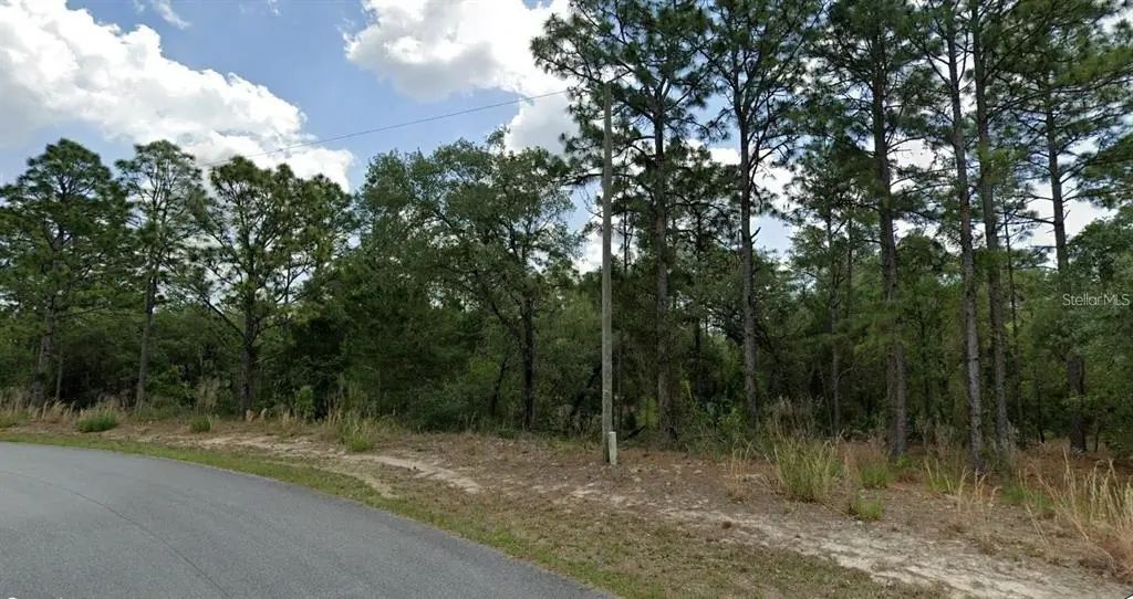 6681 N Waterman Drive, DUNNELLON