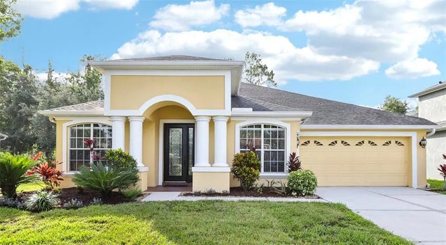 27209 Firebush Drive, WESLEY CHAPEL