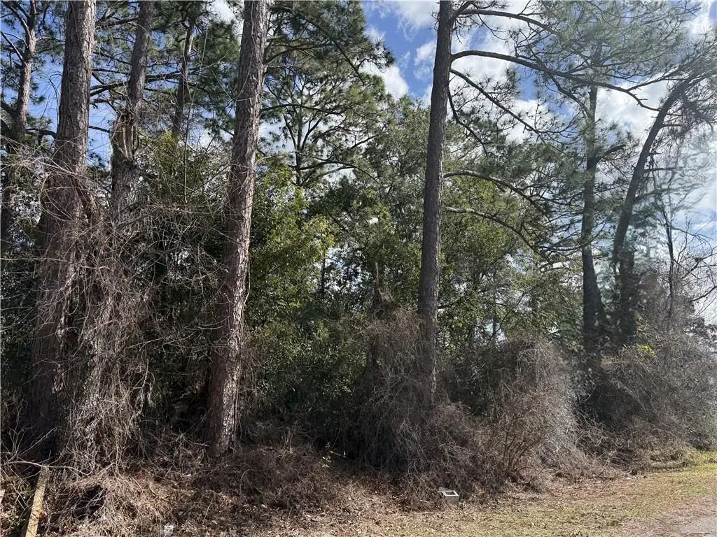 Tbd Se 190th Avenue, Silver Springs