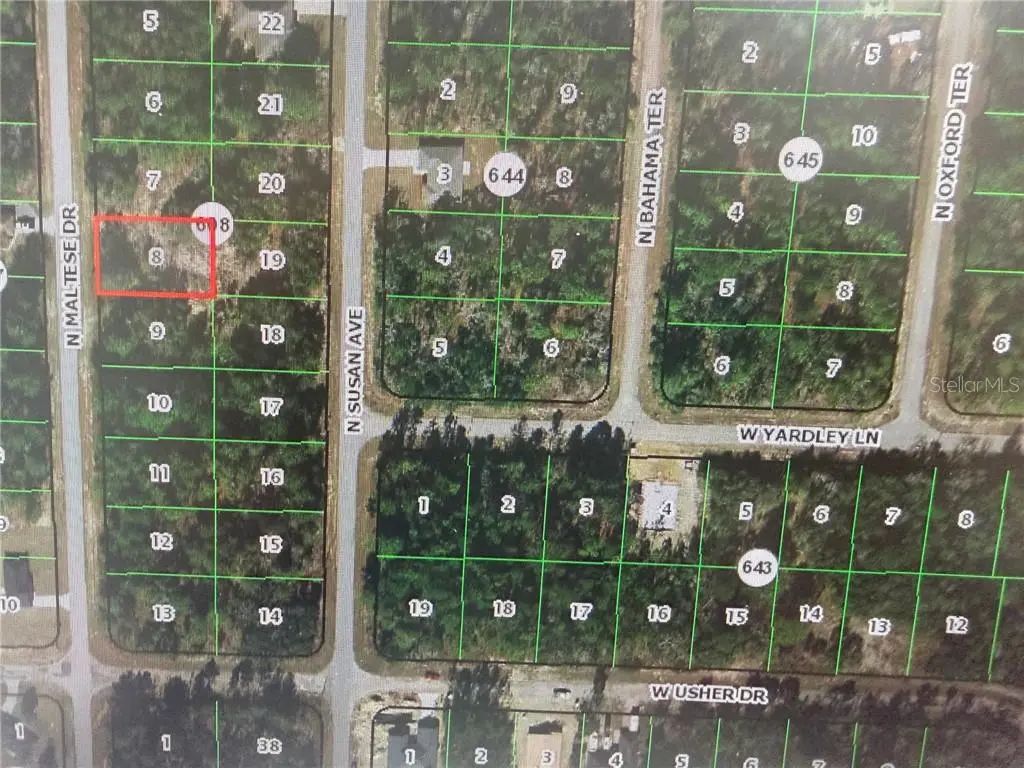 7967 N Maltese Drive, Citrus Springs
