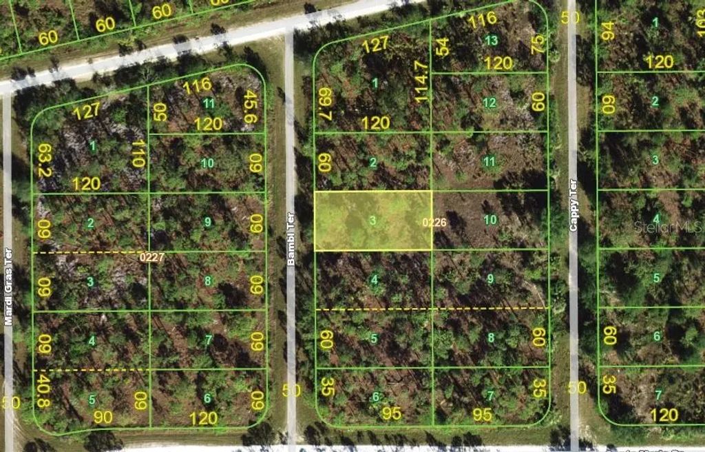 13346 Bambi Terrace, PUNTA GORDA