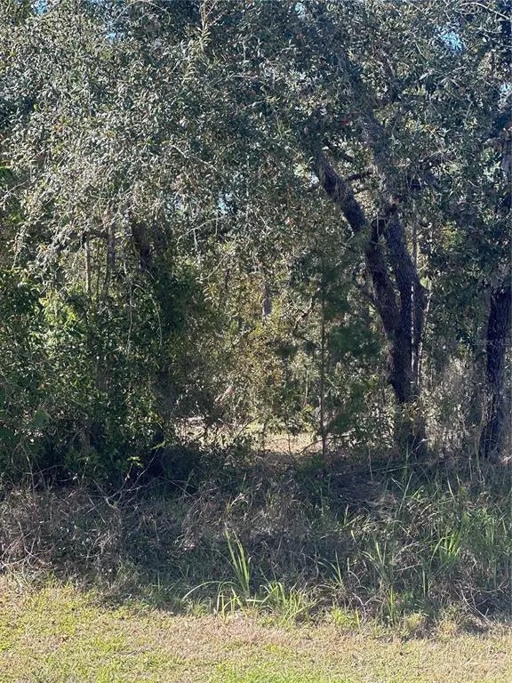 7 Sweetbay Court, HOMOSASSA