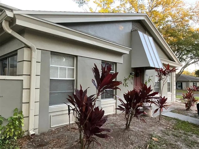 11717 Raintree Drive, TAMPA