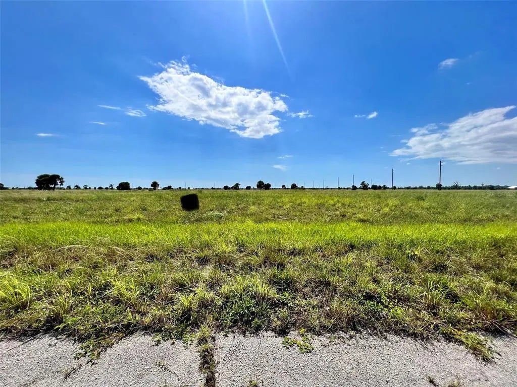 Photo of Listing #C7509171