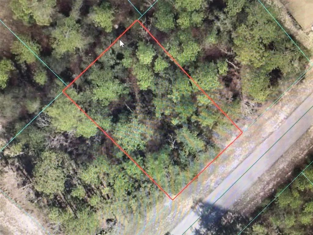Sw 66 Avenue Road, OCALA