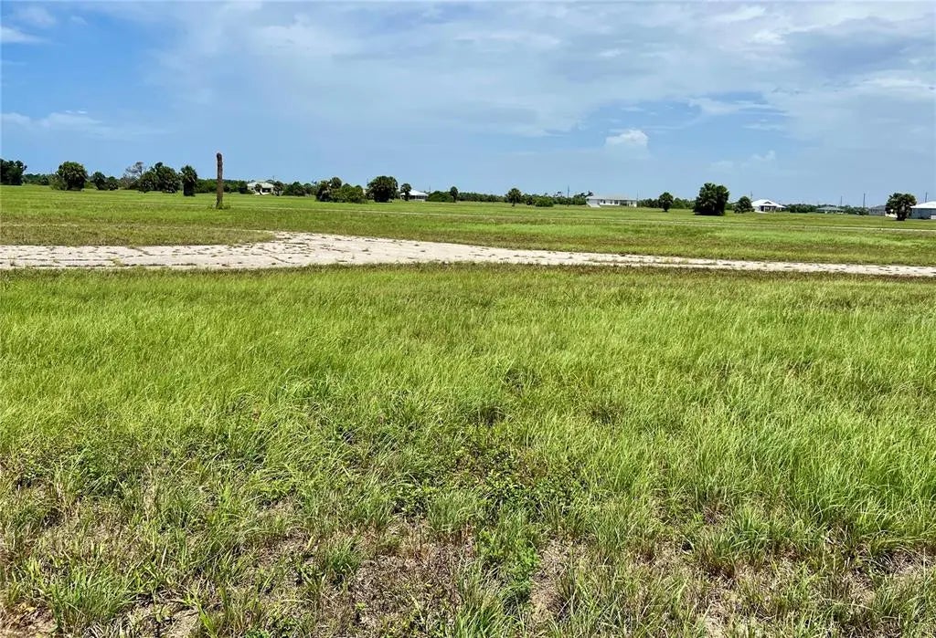 Photo of Listing #C7493973