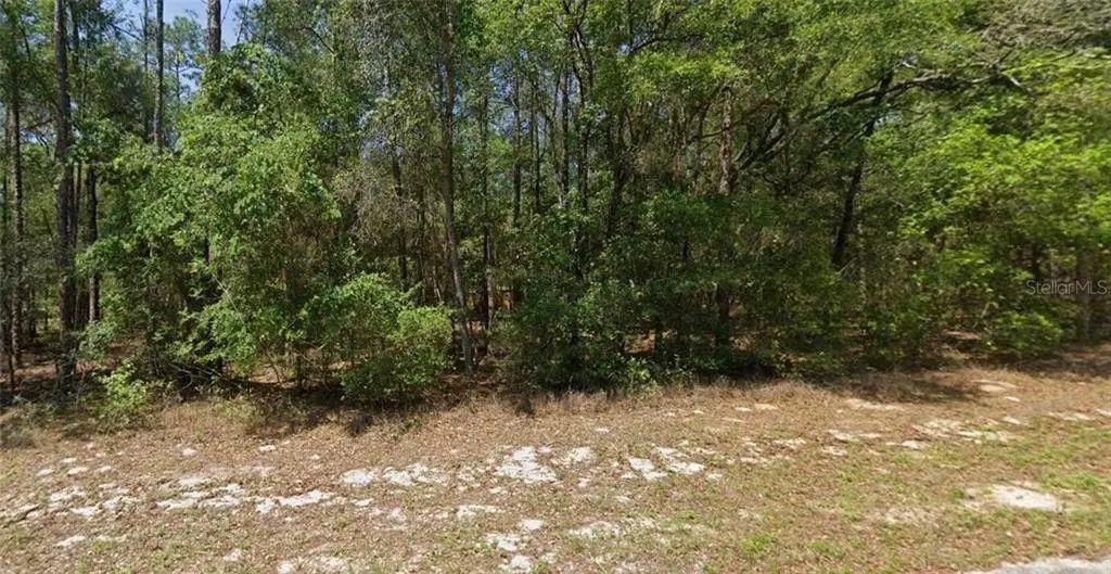 8566 N Spikes Way, Dunnellon