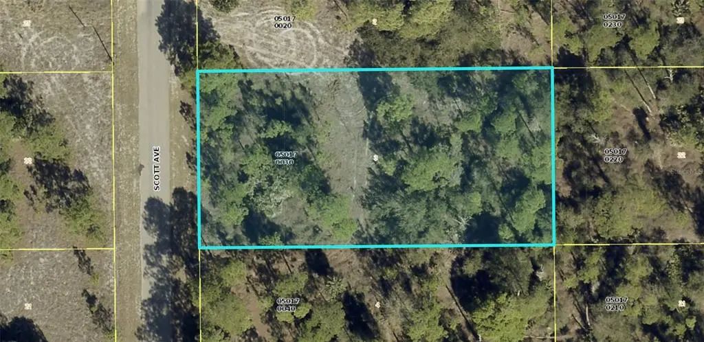 1318 Scott Avenue, LEHIGH ACRES
