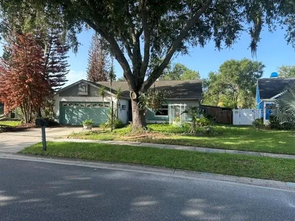 4729 S Dawnmeadow Court, PLANT CITY