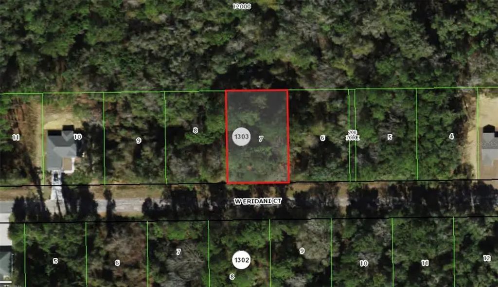 271 W Eridani Court, CITRUS SPRINGS