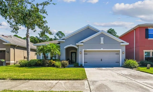 20237 Autumn Fern Avenue, TAMPA