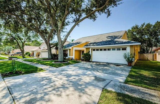 9613 Cypress Brook Road, TAMPA