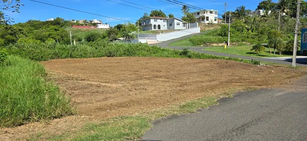 Urb. Colinas De Palmarito, ARECIBO
