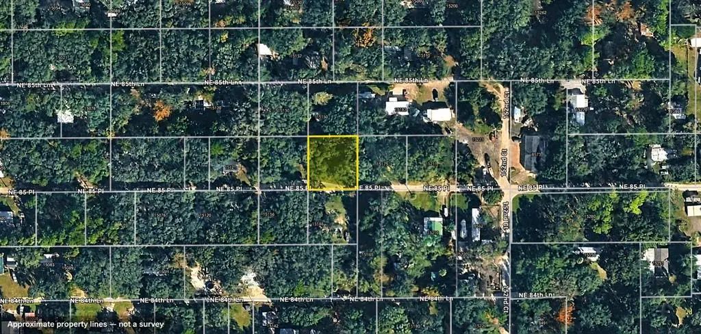 Ne 85th Place, SILVER SPRINGS