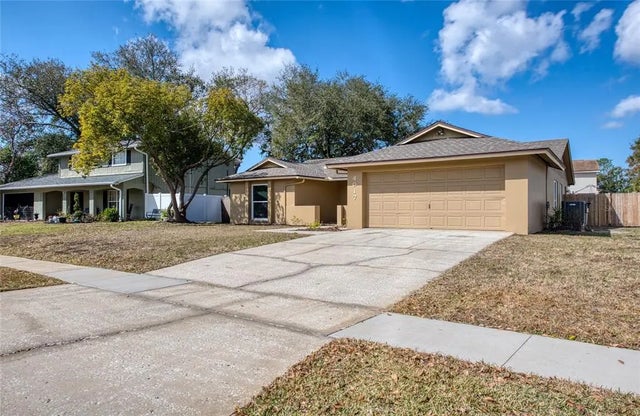 4017 Braesgate Lane, TAMPA