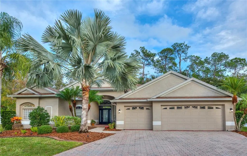 17388 Emerald Chase Drive, TAMPA
