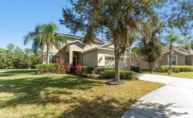 20443 Autumn Fern Avenue, TAMPA