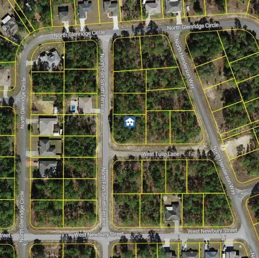 647 W Tulip Lane, CITRUS SPRINGS