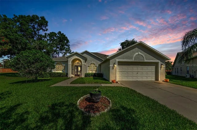 8604 Herons Cove Place, TAMPA