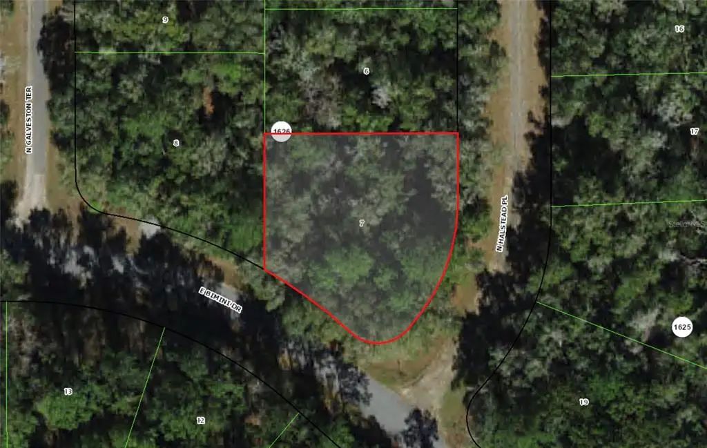 9266 N Halstead Loop, CITRUS SPRINGS