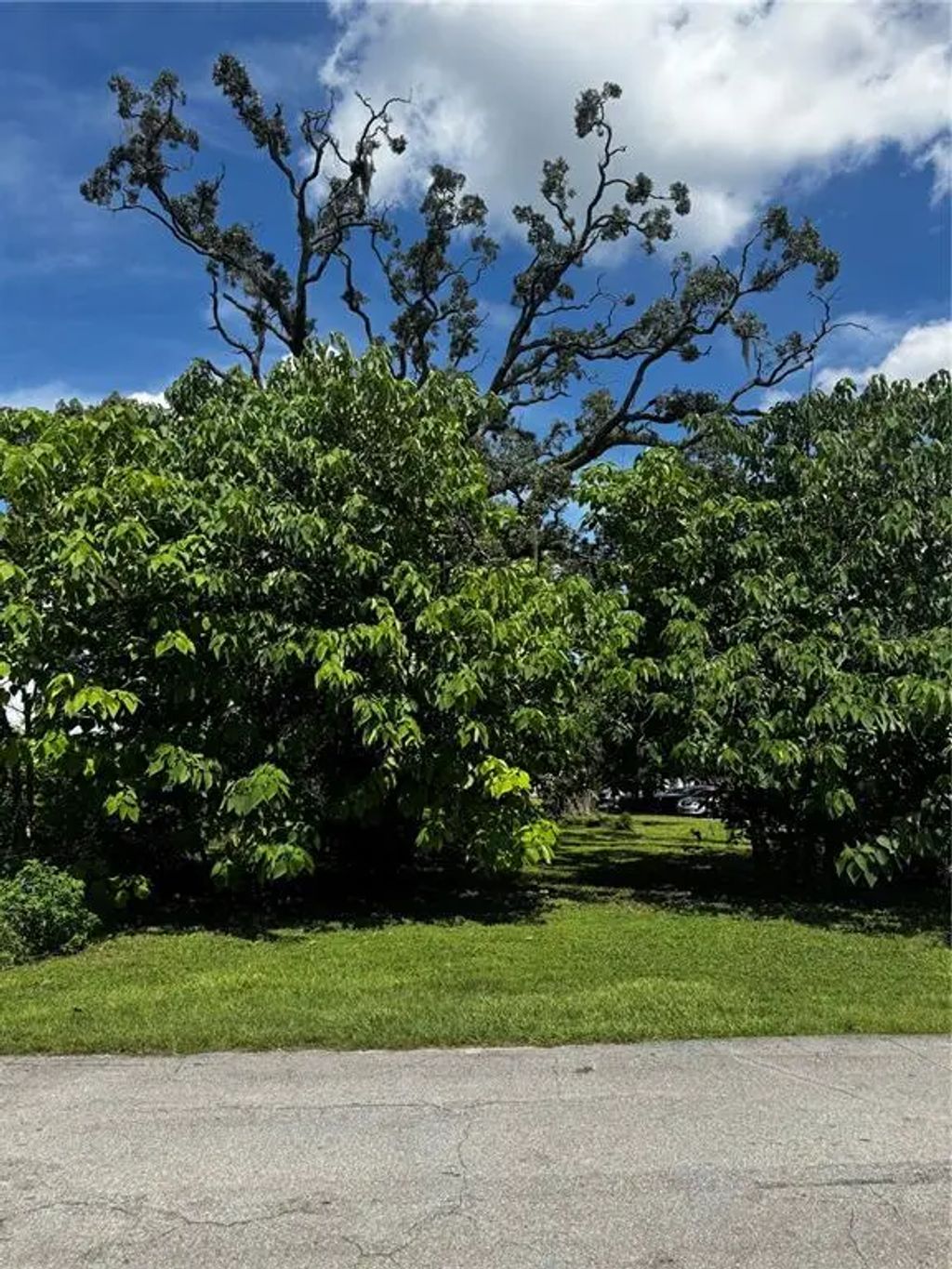 Nw 10th Street, OCALA