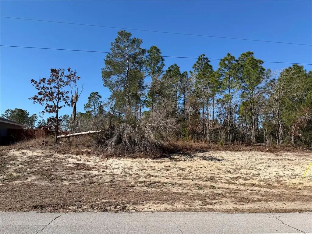 Sw 135th Street Road Lot 12, OCALA