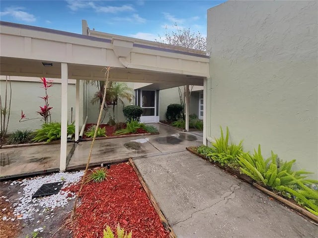 13516 Palmwood Lane, TAMPA