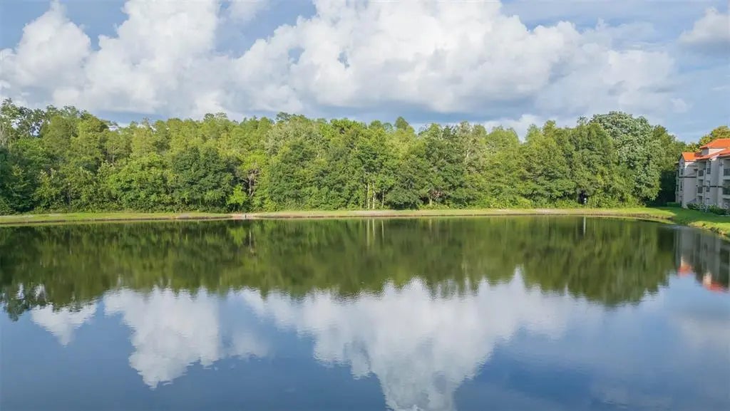 18101 Peregrines Perch Place 4109, LUTZ