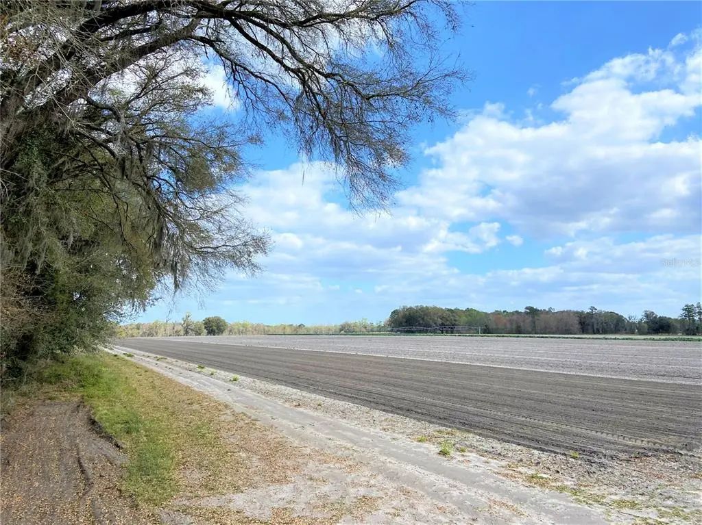 Photo of Listing #GC502818