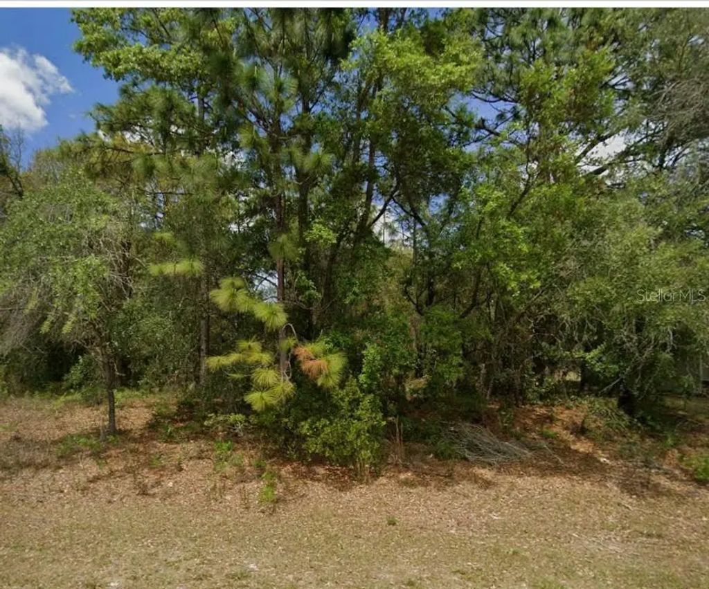 1895 W Hampshire Boulevard, Dunnellon
