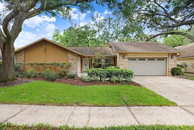 1040 Sylvia Lane, TAMPA